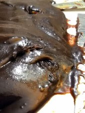 On Recipe Writing and 19th Century Chocolate Caramels