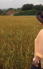 City Girl Visits Farm