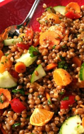 (Meatless Mostdays) Pam Anderson’s Cook without a Book: Meatless Meals