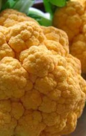 Orange Cauliflower?!