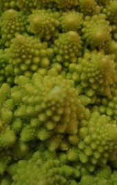 A Broccoli from Another Planet
