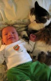 When Harry Met Sammy
