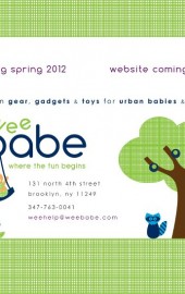 Book Signing THIS SUNDAY at Wee Babe in Williamsburg!