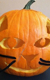 Cat O'Lantern: A Play in Three Acts