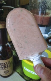 Vegetable Popsicles
