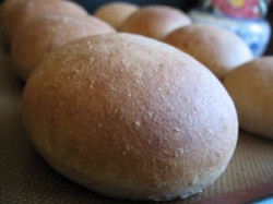 Read more about the article Whole Wheat Hamburger Buns