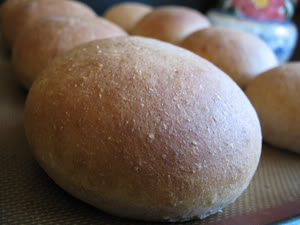 You are currently viewing Whole Wheat Hamburger Buns