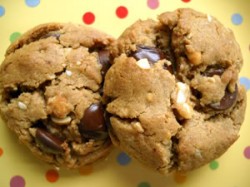 Read more about the article Flourless Honey-Roasted Peanut Butter Chocolate Chip Cookies (phew!)