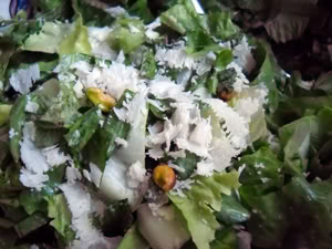 Escarole Salad with Pecorino, Lemon, and Mint
