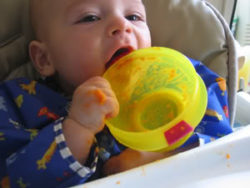 Read more about the article New Year, New Feature: Make Baby Food
