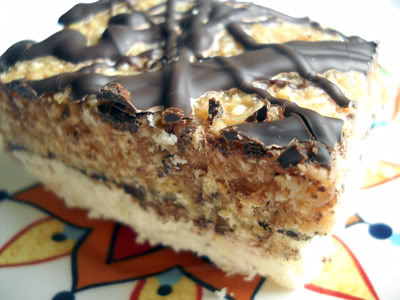 Read more about the article Samoa Cookie Bars