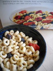 Read more about the article Trader Joe’s Triple Berry-NOs