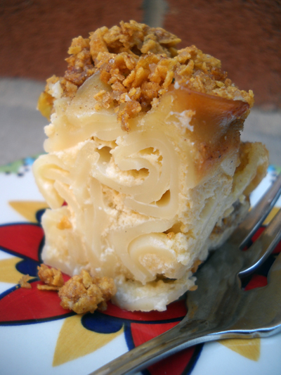 You are currently viewing Not-Too-Cheesy Apricot Noodle Kugel