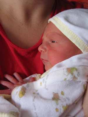 Read more about the article Welcome to the World, Harry Mose!
