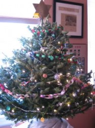 Read more about the article A Christmas Tease