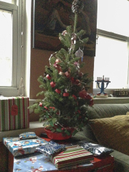 Read more about the article Oh, Christmas Tree?